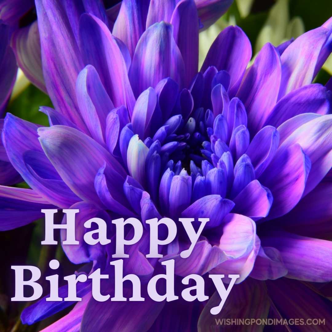 Beautiful image of a purple flower. Happy Birthday Purple Flower Images